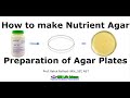 Preparation of nutrient agar plates l How to make agar plate