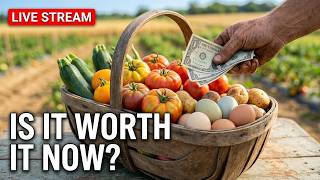 LIVE - 8 Ways Homesteaders Save Money When Prices Go High
