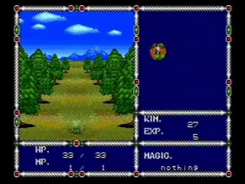 Sword of Vermilion Wii