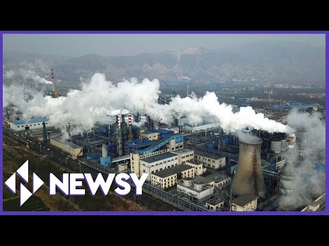 U.N. Warns Earth 'Firmly On Track Toward An Unlivable World'