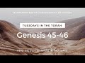 Reading The OT Genesis 45 46