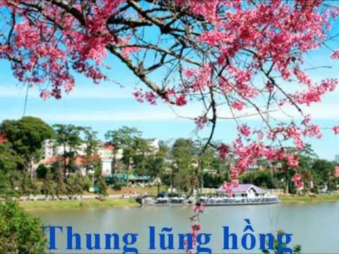 Thung lũng hồng Sheet - Khánh Ly