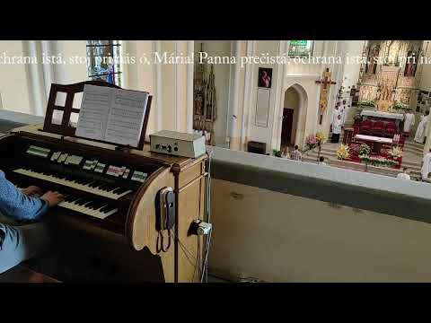 JKS 347 - Matka presvätá (Mariánska hora v Levoči)