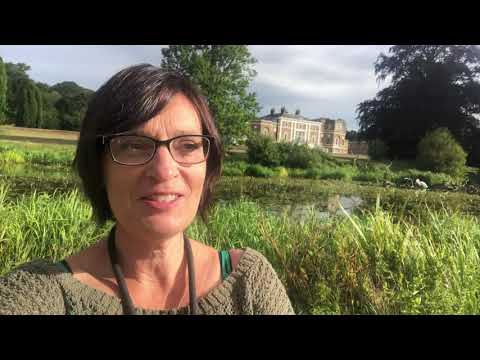 It’s National Dog Day this week!