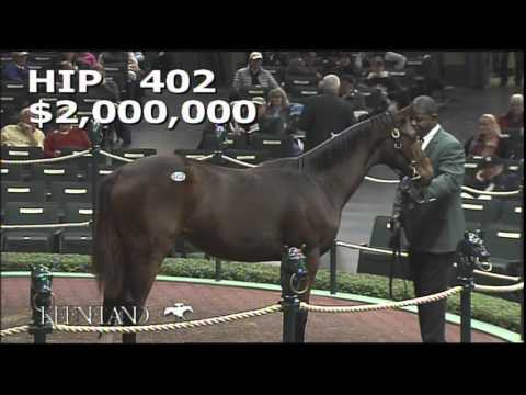 2014 November Breeding Stock Sale: Hip 402 - Bay Filly (Tapit - Serena's Cat)