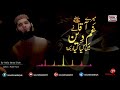 Mere Aaqa SAW Ne Gham E Deen Mein Kya Kya Dekha New Naat Fahad Shah