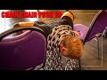 Massive Chest Pump | Chair Chain Push Up | Exercise Index
