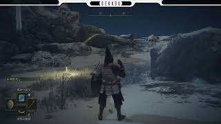 ＃１８ 【ARPG/PS5】ELDEN RING -エルデン リング- 星見　NPCイベントやっていく