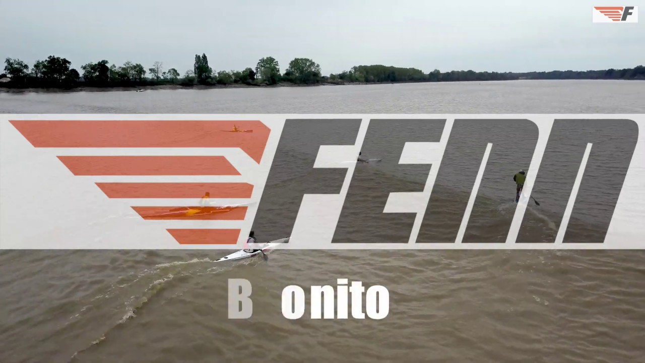 Bonito