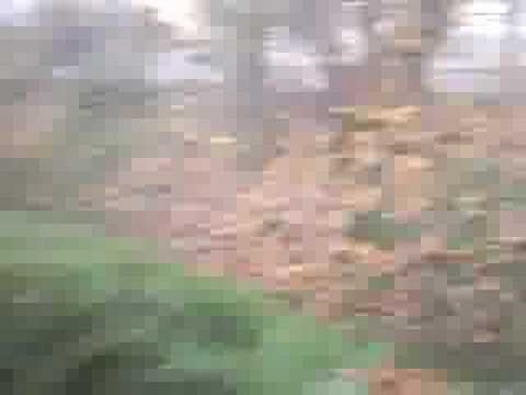 Bachcrash made by HProd™ - Starring Jackass Dittelsheim-Heßl