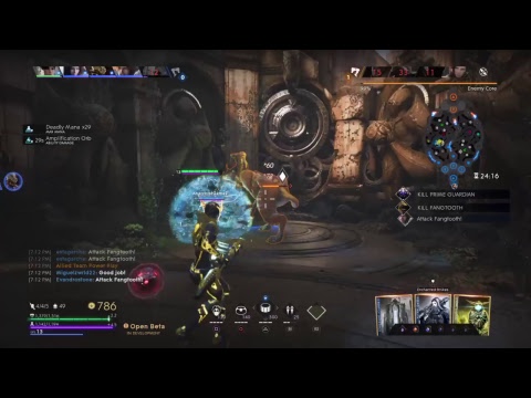 PARAGON DEKKER DAMAGE
