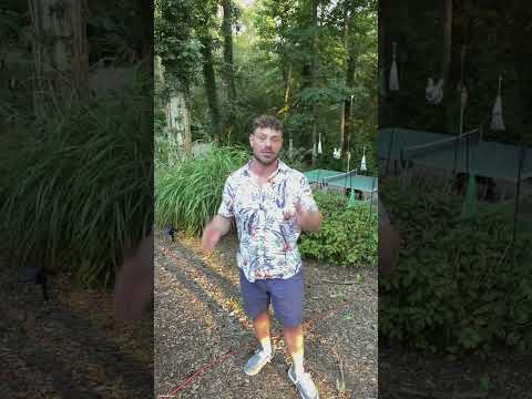 Another Reason To Try Fasting