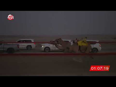 ش 1 (المسك) لـ احمد مطر بن محمد الرميثي 2:57 ، شارة الشيخ طحنون 2026/8/15 فطامين السمحه