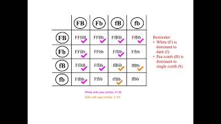10.2 Chi Squared Test for data from a Dihybrid Cross