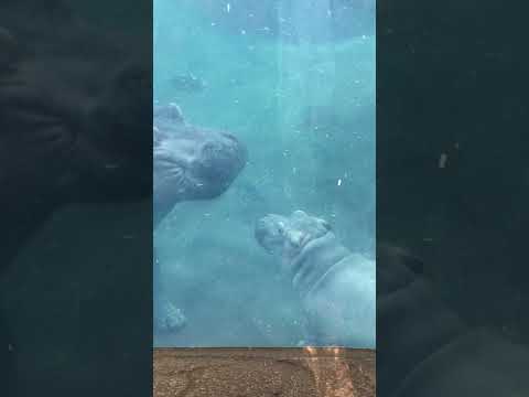 Bibi disciplines Fiona, Fi & Fritz both get a time out!