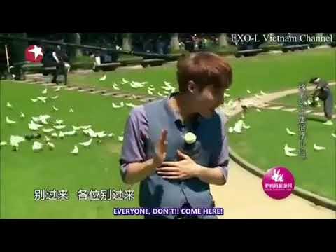 [180521] Zhang Yixing (Lay) moments of fear