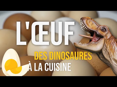 L'œuf - Des dinosaures à la cuisine