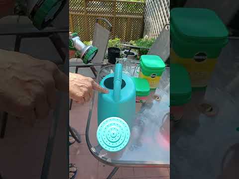 how to take care of your backyard:vegetables and flowers 💐 ✨️