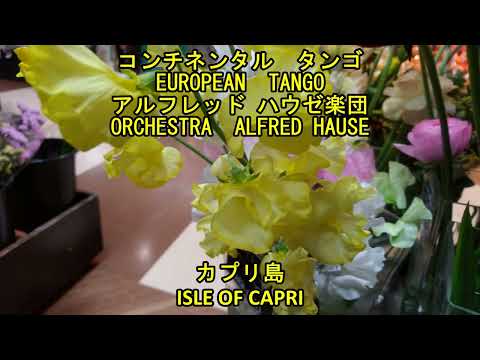 「愛の島」記念日: ピエトロ・ロンバルディが島民のために歌う