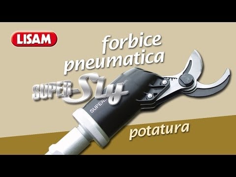 download lagu mp3 mp4 Lisam Super Sly, download lagu Lisam Super Sly gratis, unduh video klip Lisam Super Sly