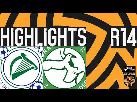 bg-highlight