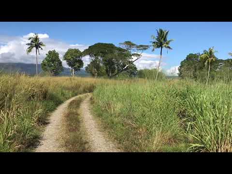 Bloody Ridge (Hill 1)