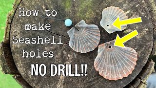 How to put a hole into a shell. NO drilling! Seashell holes made easy 🐚