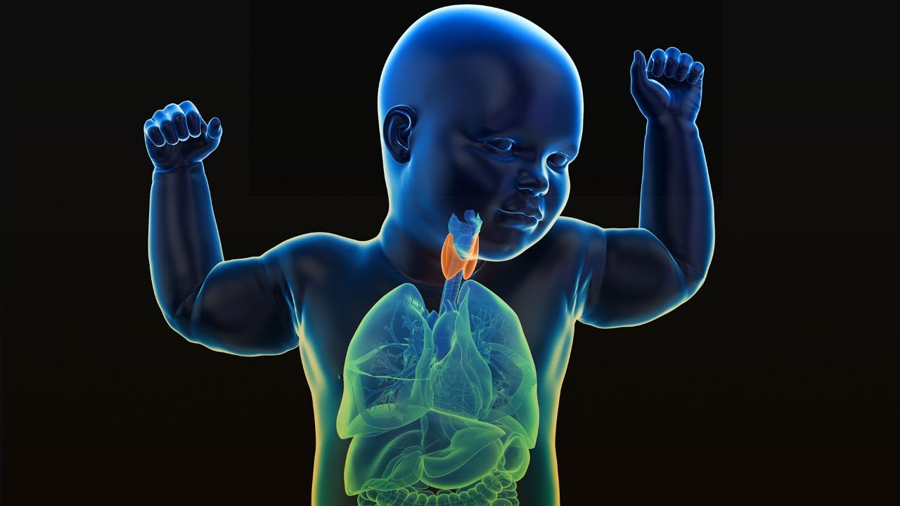 Deyanira Ruiz Ochoa-21