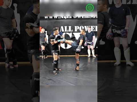Muay Thai Training – High Fight IQ Left Kicks with Nong-O Gaiyanghadao