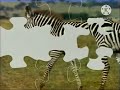Sesame Street Film Zebra Puzzle
