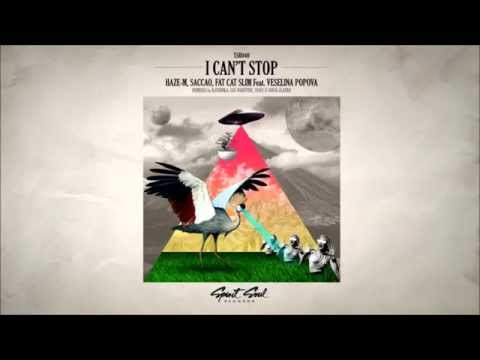 Haze-M, Saccao, Fat Cat Slim Feat. Veselina Popova - I Can't Stop (Lee Webster Froglife Remix)