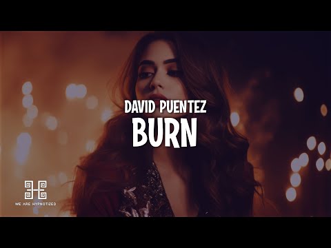 David Puentez - Burn (Lyrics)