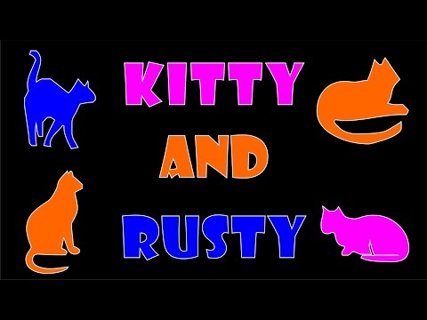 Kitty and Rusty - Feral Cat Safe Room