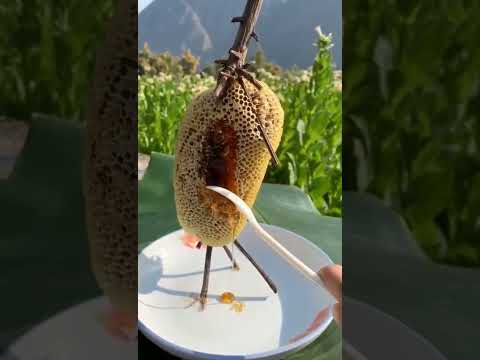 origanal honey/choti makhi ka shahad #honey #purehoney #shahad