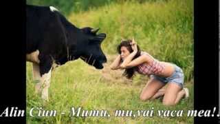 Alin Ciun - Mumu, mu, vai vaca mea!!