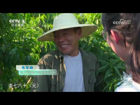 《Farway House》 20231115 Rio Amarelo (76) em água, vitalidade nova casa | CCTV Chinese International