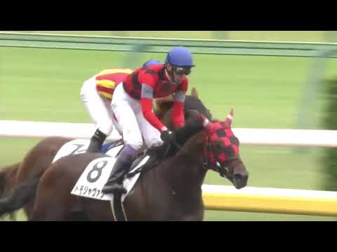 Tomoja Valley (JPN) wins race 2 at Tokyo 5/14/2017