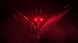 Mantis Dubai Unveiling the Call of Unknown