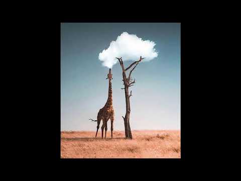 01 Blackwater Creek: Weekend at Bootleggers