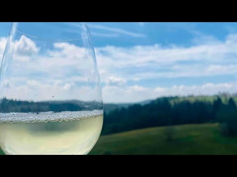 Schones ruhiges App mit Panoramablick auf den Harz | Braunlage, Germany | Hotel Review🏨