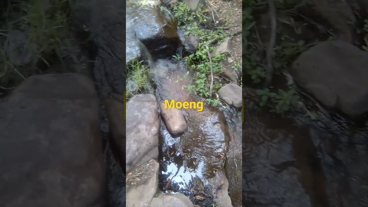 Behind Moeng College