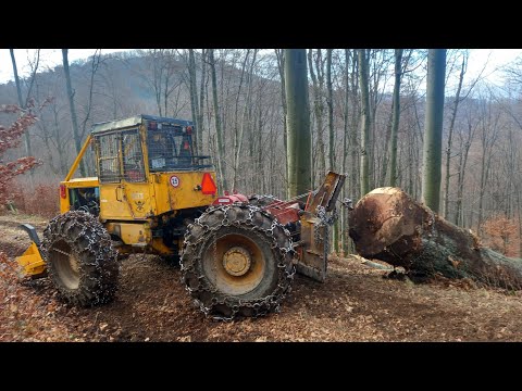 LKT 81 Turbo - Cesta pre najväčšieho z porastu . Stihl ms 500i, Stihl ms 462  malá pomoc od Mareka