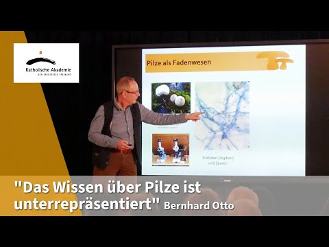 Pilze - das verborgene Leben im Untergrund
