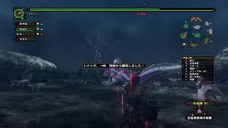 MHFしてみる