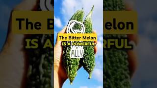 "The Bitter Fruit That Brings Sweet Rewards to Your Health"