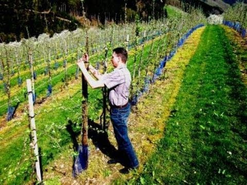 Weinurlaub im Schwarzwald mit BestFewo