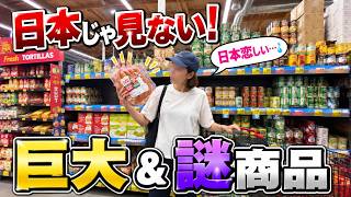 【アメリカの主婦活】休日の翌朝…現実が待っていた。溜まった家事を全部片付ける1日!