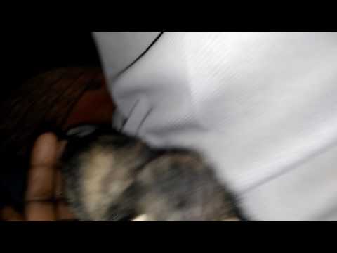 Sravanpayam my videos