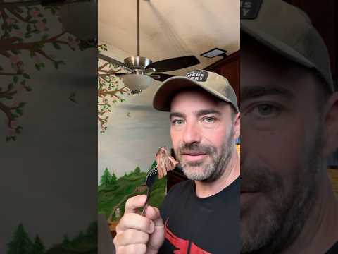 I Eat THIS Every 3 Days on Carnivore Diet