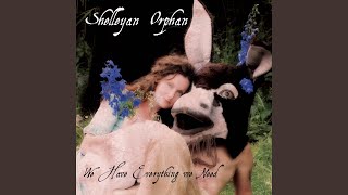 Shelleyan Orphan Chords